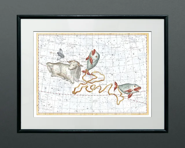 Ryby i Baran (Pisces, Aries)